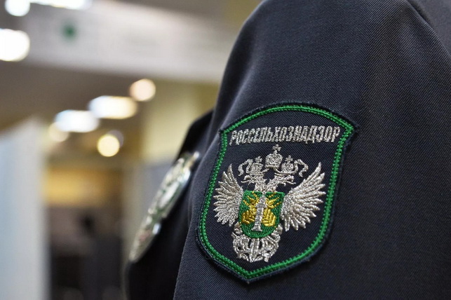 В Краснодаре задержана партия узбекской хурмы, заражённой карантинным вредителем