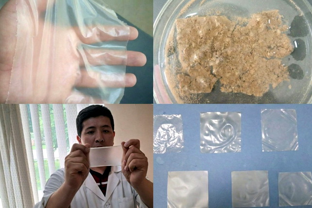 Uzbek Scientists Develop Fully Biodegradable Alternative to Plastic Film