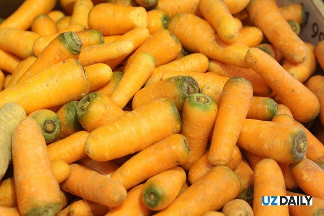 Uzbekistan Exported Carrots Worth US$4.1 Million