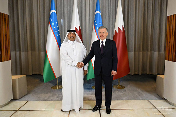 President of Uzbekistan proposes to adopt an investment partnership program with Nebras Power