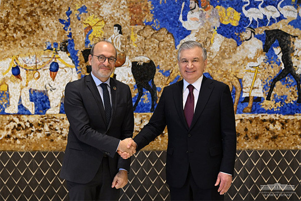 President of Uzbekistan meets with the head of the French Development Agency