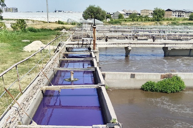 Compensation of 1.5 Billion Soums Set for Bozsu Canal Pollution; Criminal Case Initiated
