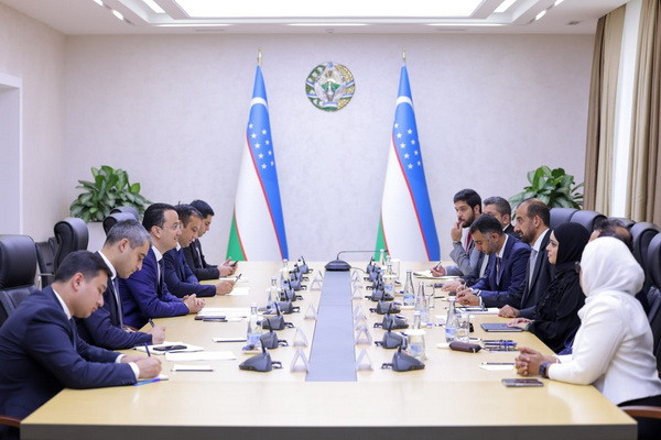 The progress of the project on the privatization of existing and construction of new power units based on the Talimarjan TPP was discussed