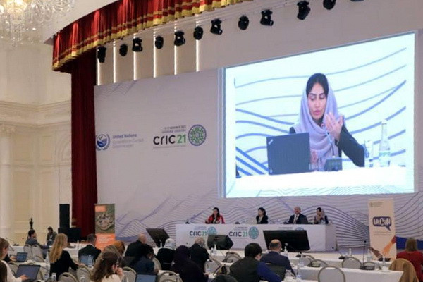 CRIC21: «Гендерное равенство важно в решении экологических проблем и использования земельных ресурсов»