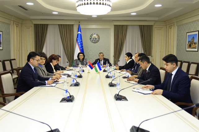 Senate Holds Online Meeting of Interparliamentary Groups of Uzbekistan and Serbia