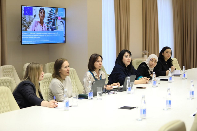 National Agency for Social Protection and UNICEF Discuss Implementation of EU Women’s Economic Empowerment Programme