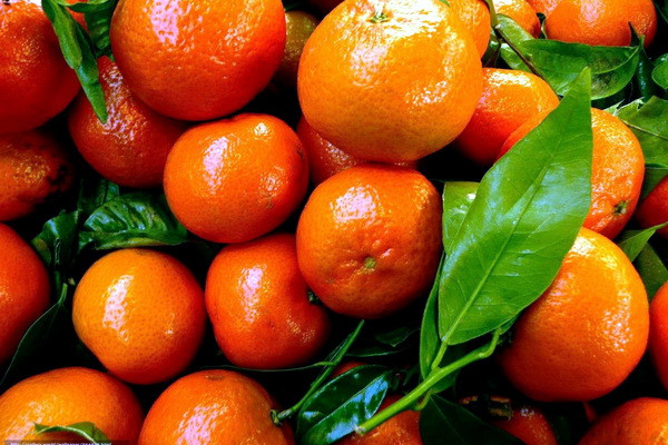 Import of tangerines increased by 28,300 tons