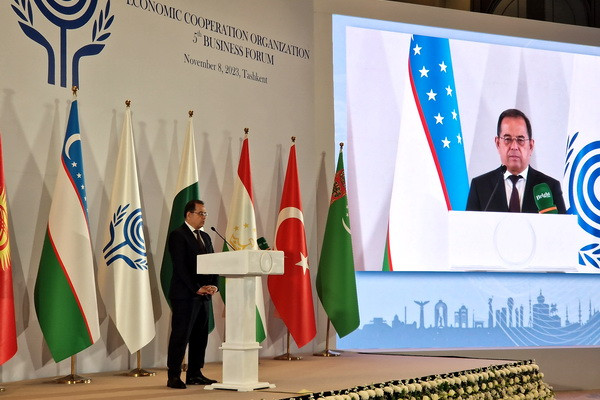 As part of the ECO business forum, a presentation of the potential of the leather and footwear industry of Uzbekistan takes place