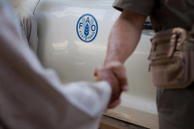 CA states discuss FAO cooperation programme with Turkey on 2016-2019