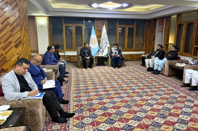 Узбекистан и Афганистан планируют увеличить фармацевтический товарооборот до $500 млн.