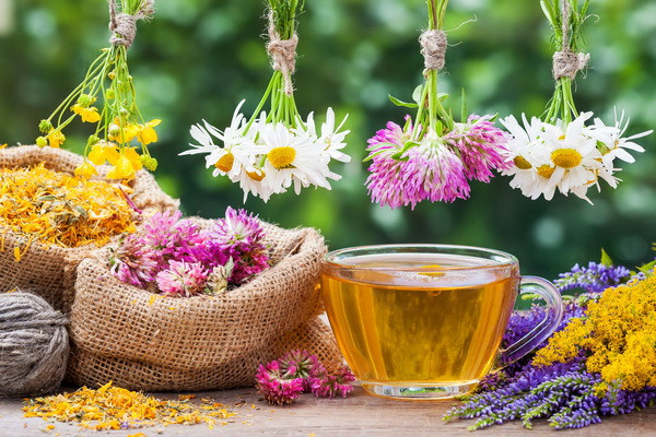 Expansion of land areas for growing medicinal plants
