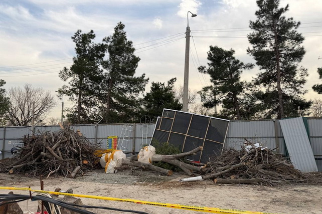 Twelve Valuable Trees Were Illegally Cut Down at the Ritz-Carlton Construction Site In Tashkent