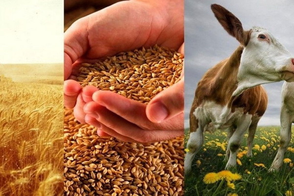 Boosting private sector development in Uzbekistan