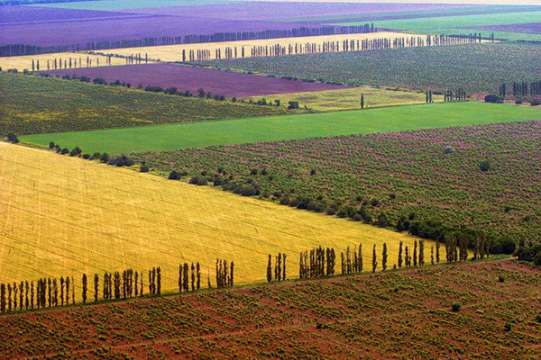 What are the tasks of the commission for changing the category of the land fund