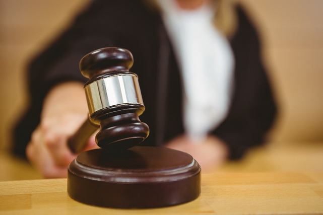 Blogerlar Zomin milliy bog‘iga noqonuniy kirdi va 9 mln so‘m jarima to‘laydi