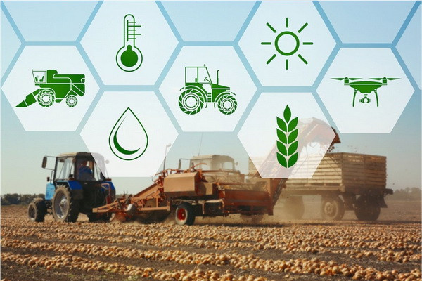 Information system "Agroplatform" to be introduced in Uzbekistan