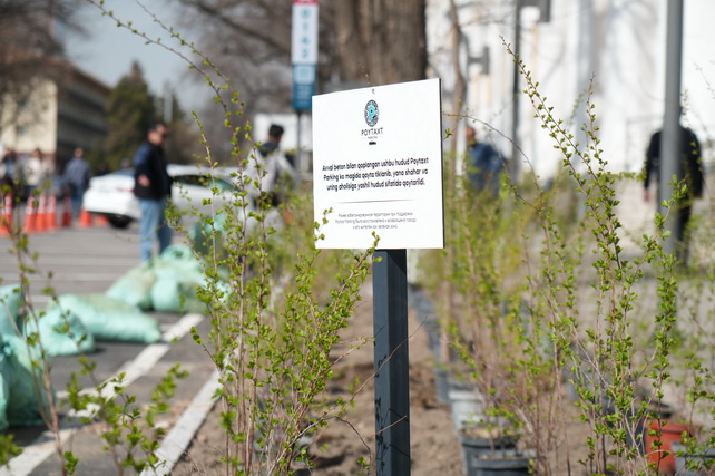 Tashkent Launches Pilot Project to Restore Green Zones