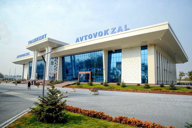 Regular bus services from Tashkent to Krasnodar launched