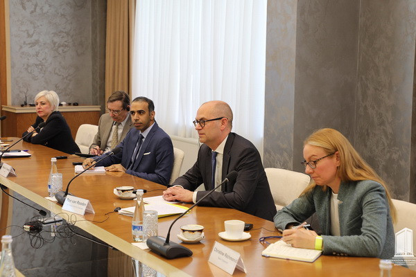 Deputy Prime Minister holds meeting with representatives of the International Monetary Fund