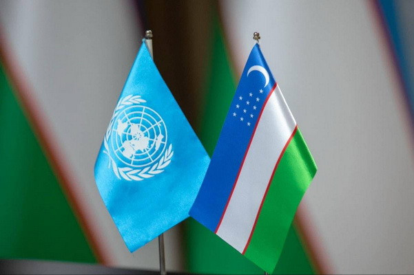 Верховный суд и ЮНИСЕФ обсудили вопросы защиты прав детей