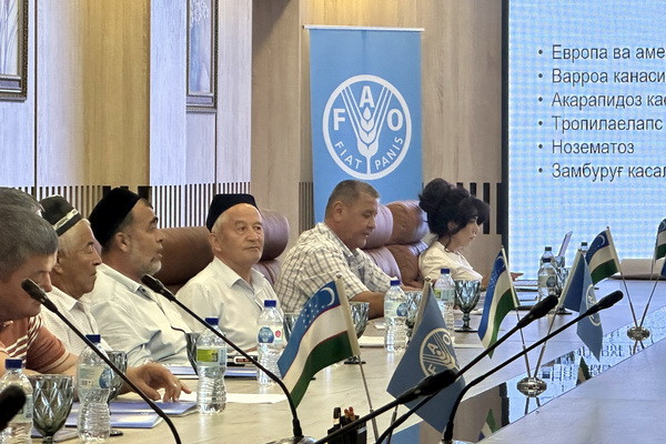FAO trains rural residents of Uzbekistan in modern beekeeping, milk production, and processing skills