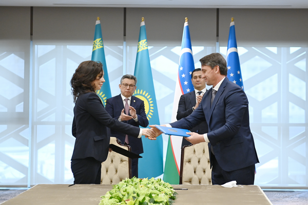A new multi-brand automobile complex and an online car marketplace to be created in Tashkent