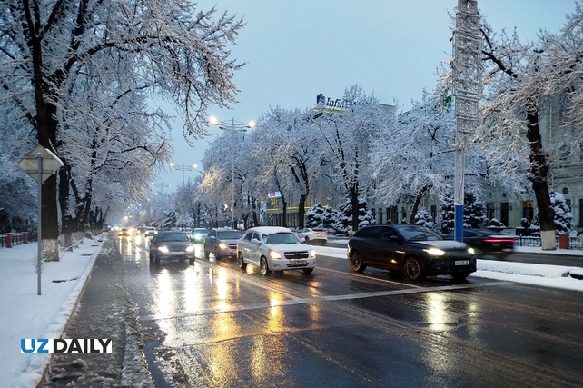 Rain and Wet Snow Expected in Tashkent