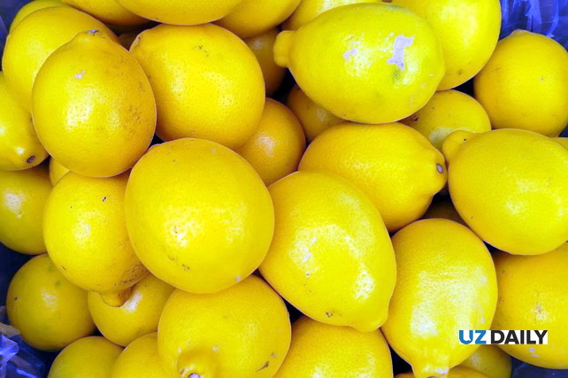 Узбекистан увеличил экспорт лимонов на 25%
