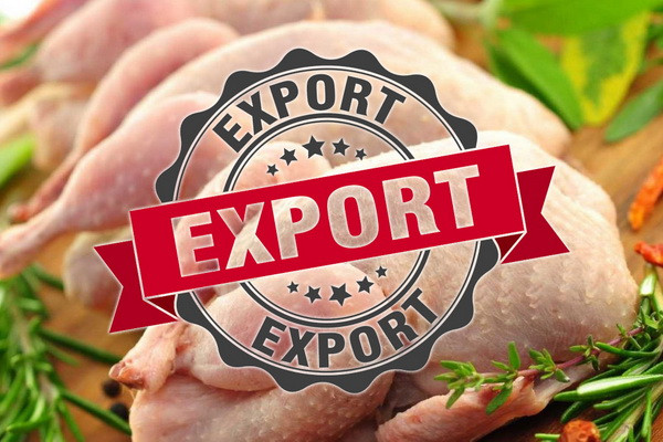 Uzbekistan to lift restrictions on poultry meat exports