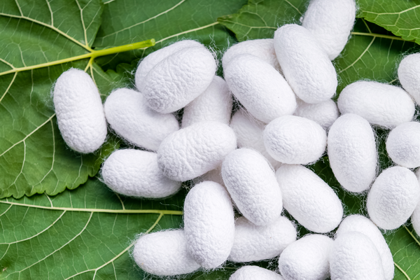 Producers of silkworm grenades to be subsidized