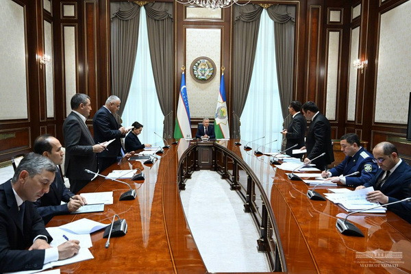 President Shavkat Mirziyoyev reviewes the state of energy efficiency