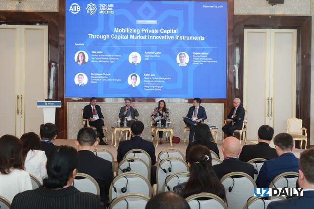 Mobilizing private capital through innovative capital market instruments