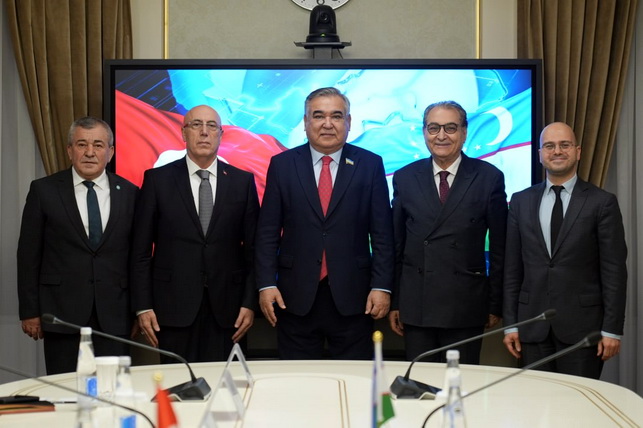 Chair of the Senate Committee on International Affairs Meets with Leader of the Union of Engineers and Architects of the Turkic World