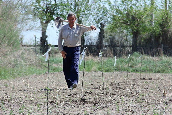 OPIC to resume financing projects in Uzbekistan