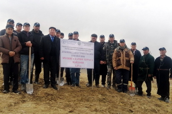 Дарахт экинг – ўрмонни асранг: ФАО Қашқадарё вилоятида ўрмон плантацияларини яратади
