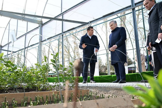 President of Uzbekistan Reviews Work of "Homestead Farming School" in Termez