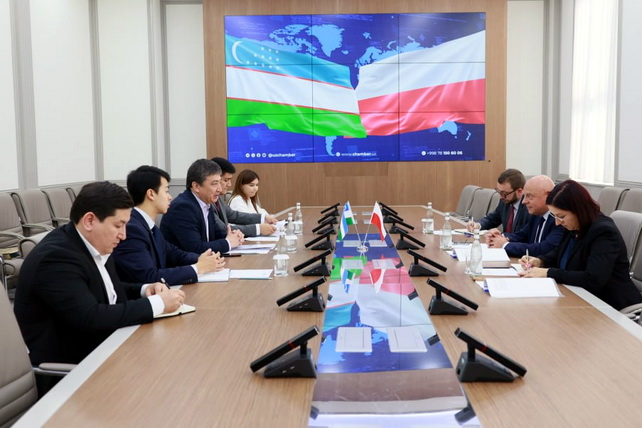 Uzbekistan and Poland discuss perspective areas of economic cooperation