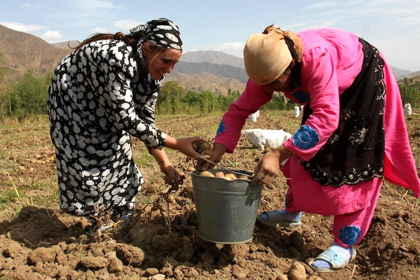 Regional Cooperation Vital to Addressing Climate Change in Central and West Asia, Says ADB