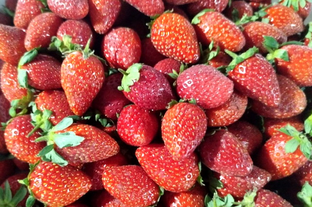 Turakurgan boosts agricultural exports in 2026