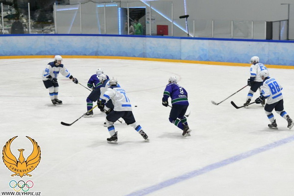 Стартовал первый чемпионат по хоккею