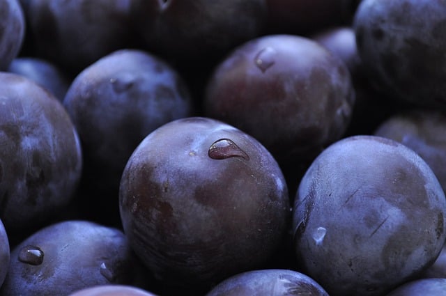Uzbekistan exported over 12,000 tons of dried plums worth US$16.3 million in the first quarter