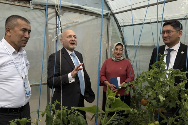 UN Special Representative Visits Namangan to Assess Cross-Border Development Projects