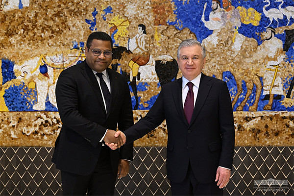 President of Uzbekistan meets with the Meridiam Сhairman