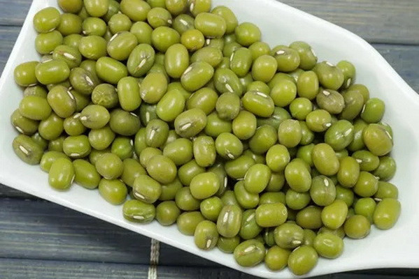Britain is ready to purchase up to 10,000 tons of mung bean from Uzbekistan