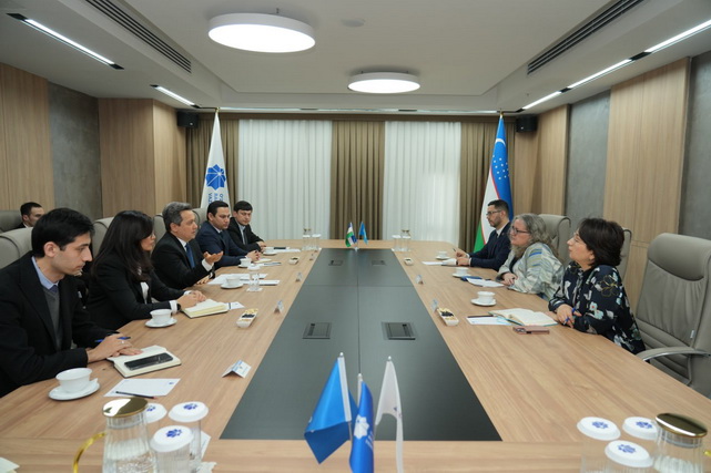 Узбекистан и ООН обсудили перспективы дальнейшего развития цифровизации