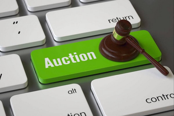 Agricultural land plots are leased through an online electronic auction