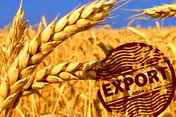 Kazakh exporters propose to limit the export of wheat by road to Uzbekistan