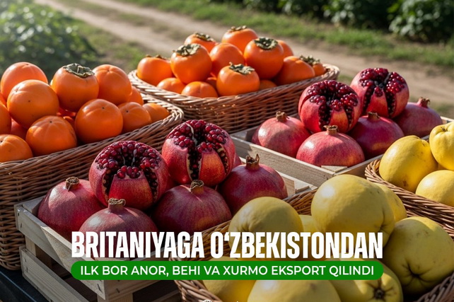 Узбекистан впервые экспортировал гранаты, айву и хурму в Великобританию