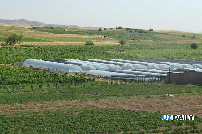Uzbekistan to relocate greenhouses to Surkhandarya zone