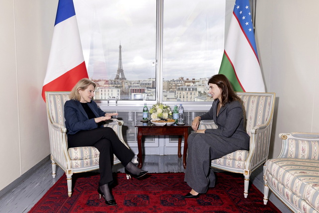Art and Culture Development Foundation of Uzbekistan Discusses Joint Art and Film Projects with Advisor to the French President